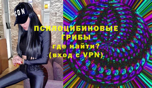 синтетический гашиш Алексеевка