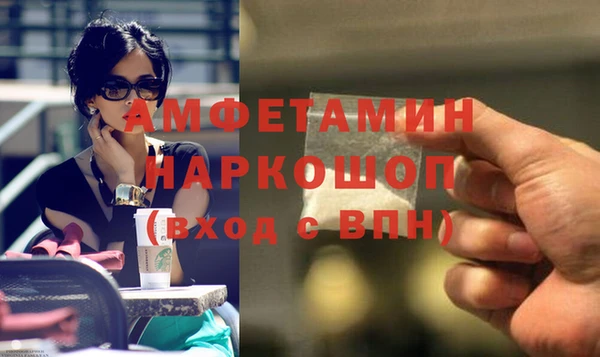 прущий лед Инсар