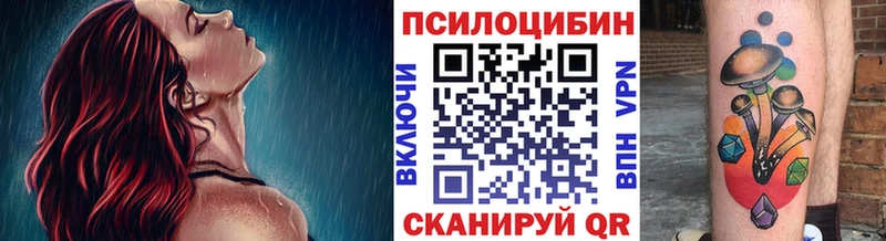 Псилоцибиновые грибы Psilocybine cubensis  Чехов 